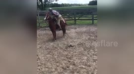 Newsflare Edit - Epic Horse Fail