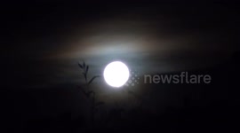 Colorful clouds around the Moon. Beautiful timelapse