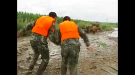 老牛发脾气农民陷险境