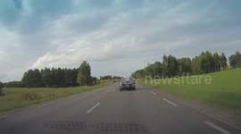 Loose cow on the road