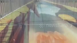 China's first 3D glass bridge across Yellow River opens to public