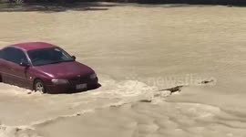 Aussie in car beeps crocodile out of the way while crossing the river