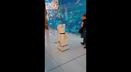 Robo Shark 2 Dubai Aquarium