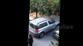 Fight In Greece