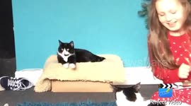 STOP TOUCHING ME!!