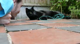 Cat Attacks Owner - Face Claw Attack - Fail