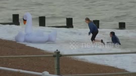 Ride on an Inflatable Swan in the Sea