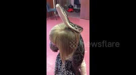 Fearless little girl holds huge snake
