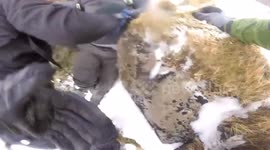 Climber trapped after rockfall, captured on GoPro!