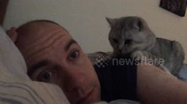 Kitten massage wake-up!