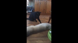 Mr Butters tried to start a fight
