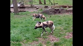 day at the zoo