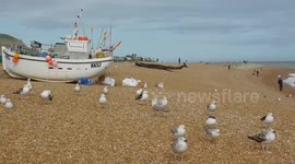 Hastings Beach Old Town Fishermen Seagulls