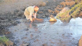 Man rescues impala from mud