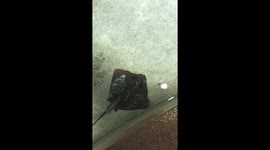 Frightened the stingray in the oceanarium