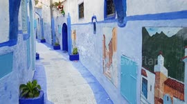 Magical BLUE STREET!