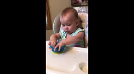 Gotta Love Blueberries