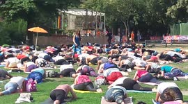Yoga summer