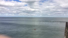 Surfing a hurricane swell