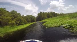 Fish jumps out infront of Jet ski in woodsy jungle creek