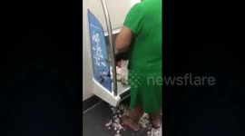 Chinese woman peels garlics on tube as she is busy at home