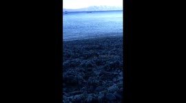 On The Beach