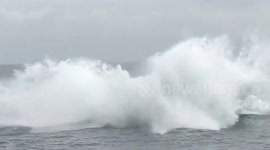 Humpback whale breaches in front of a tourist boat