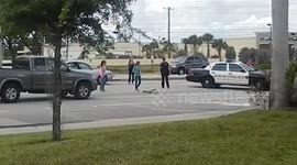 Police officer stops traffic for duck family crossing road