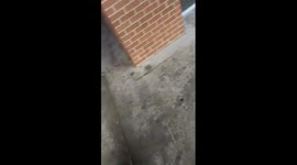 Old Racist White Man In Hagerstown Screams N Word At Black People