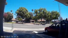 Crazy Woman Assaults Gardener Caught on Dashcam