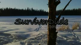 SurvivorDude: Solo Survival Single Night