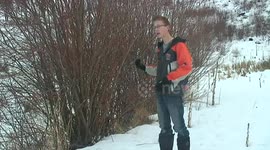 SurvivorDude: How To Make A Bush Bow