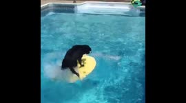 From the Shelter to the Surf
