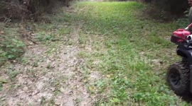 Catching a black racer