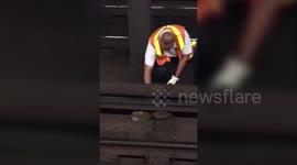 Rail worker rescues adventurous kitten