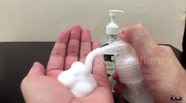 Homemade foaming handwash and save money | What the Hack #4