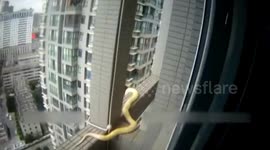 Police officers rescue python from skyscraper
