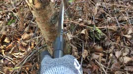 How to Chop Down a Tree with a Knife!!