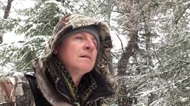 The Forest can be Deadly!!