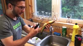 Man cleaning perch finds intact insects in stomach