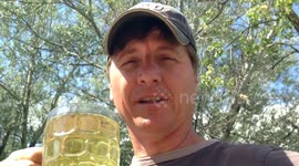 How to make Birch Leaf tea - detoxing, urinary complaints, gout, etc.