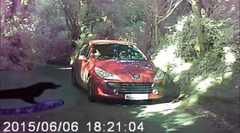 The Driver who wouldn't reverse gets out of his car