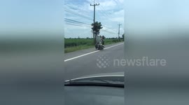 Newsflare Edit - Two Pet Husky Dogs Riding Motorcycle