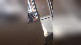 Newsflare Edit - Fight at McDonald's 2017