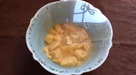 How to catch Fruit Flies!!!