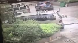 Eight-year-old boy survives being run over by car