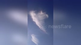 Newsflare Edit - Unicorn horse image in cloud!