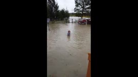 Swimming in the hurricane