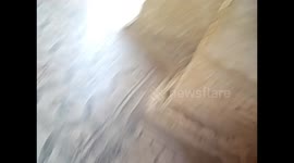 Argelia. Algeria. Djemila. Ruinas romanas. Mosaicos en el suelo de los baños termales. Mosaics. 2016
