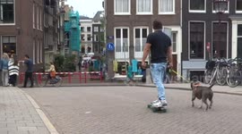 Dog takes skateboarding man for a walk in Amsterdam (better version)